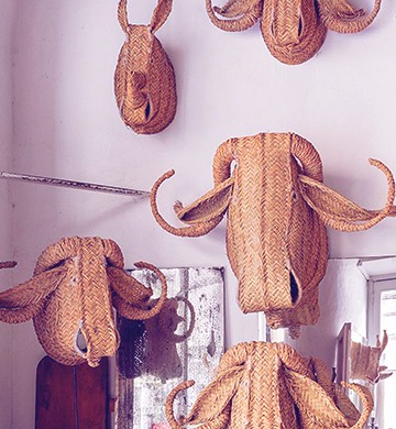 javiersmedina1 360×390